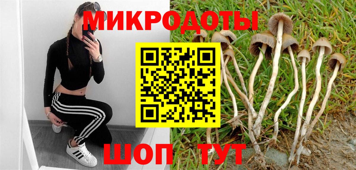Галлюциногенные грибы MAGIC MUSHROOMS Елец