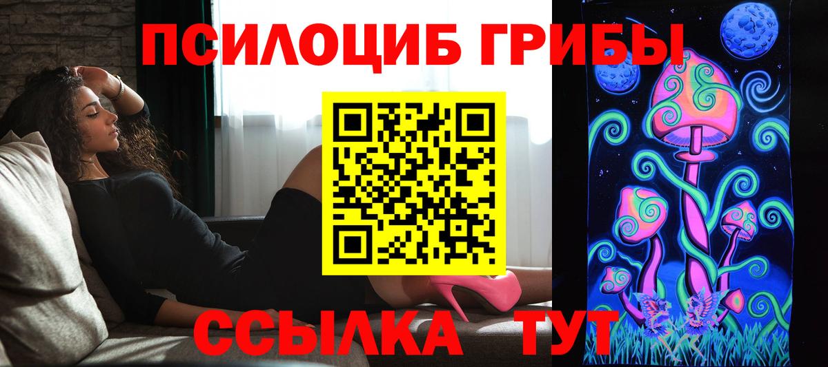 Елец  Галлюциногенные грибы прущие грибы  Псилоцибиновые грибы ЛСД  Вход с VPN 